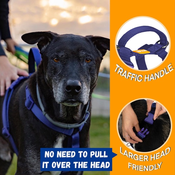 NEW DF Pet Professional Martingale Multifunctional No-Pull  Neoprene Harness - Picture 6 of 13